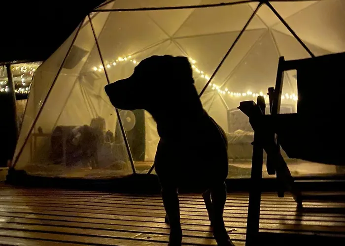 Domo Glamping Reserva Los Cucharos