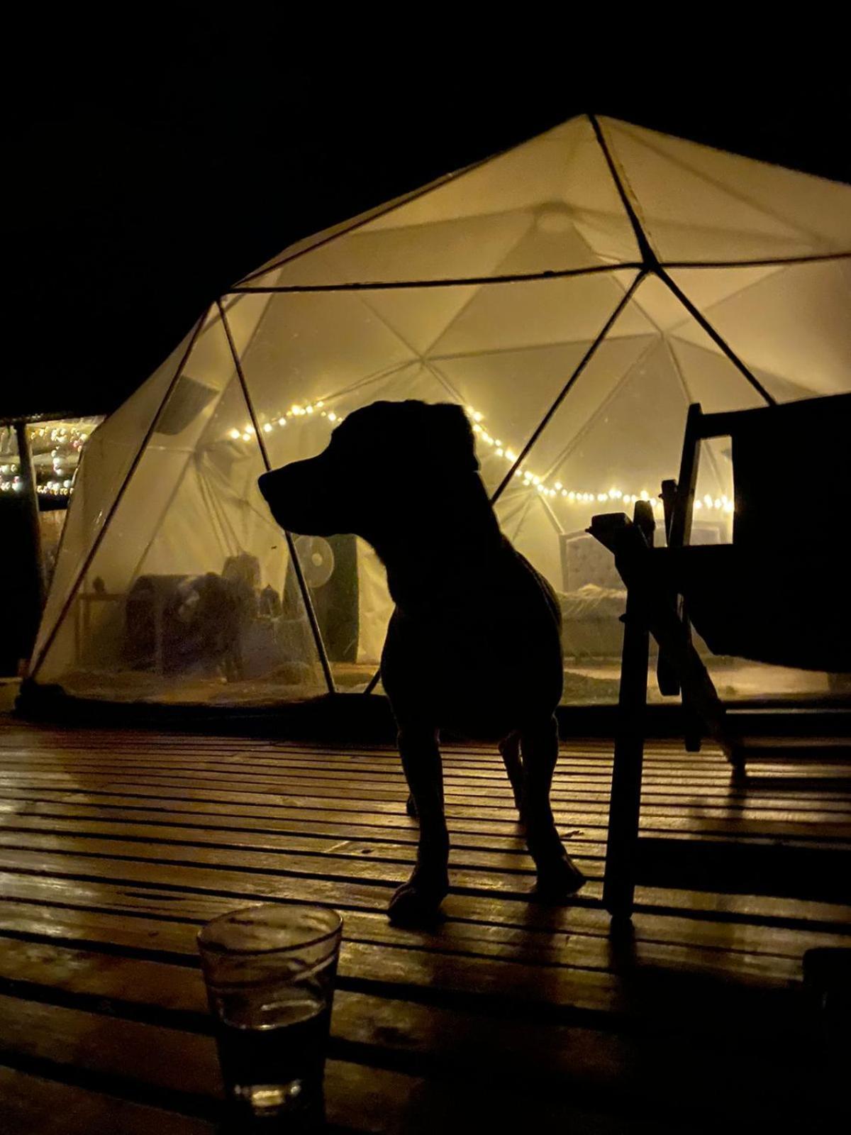 Campsite Domo Glamping Reserva Cucharos *